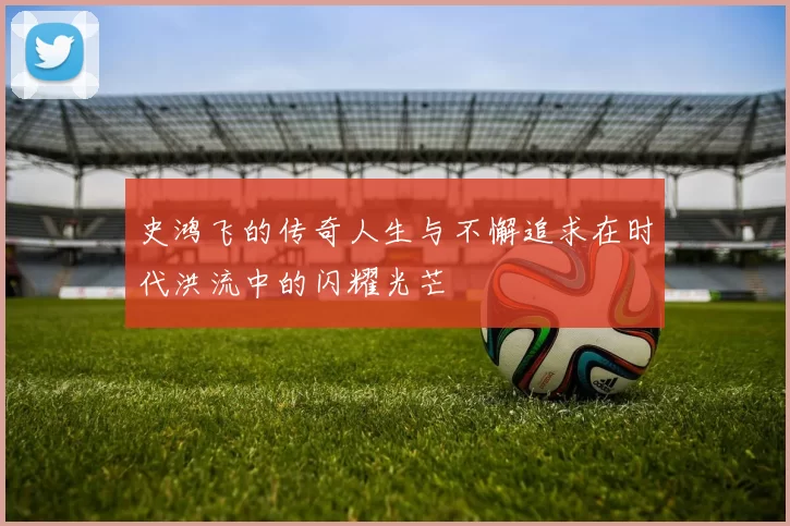 史鸿飞的传奇人生与不懈追求在时代洪流中的闪耀光芒