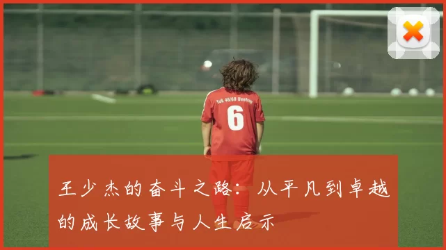 王少杰的奋斗之路：从平凡到卓越的成长故事与人生启示
