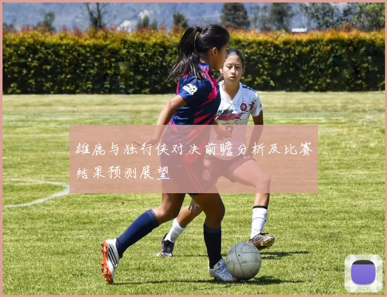 雄鹿与独行侠对决前瞻分析及比赛结果预测展望