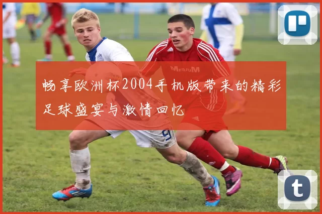 畅享欧洲杯2004手机版带来的精彩足球盛宴与激情回忆