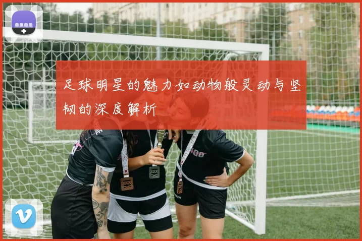足球明星的魅力如动物般灵动与坚韧的深度解析